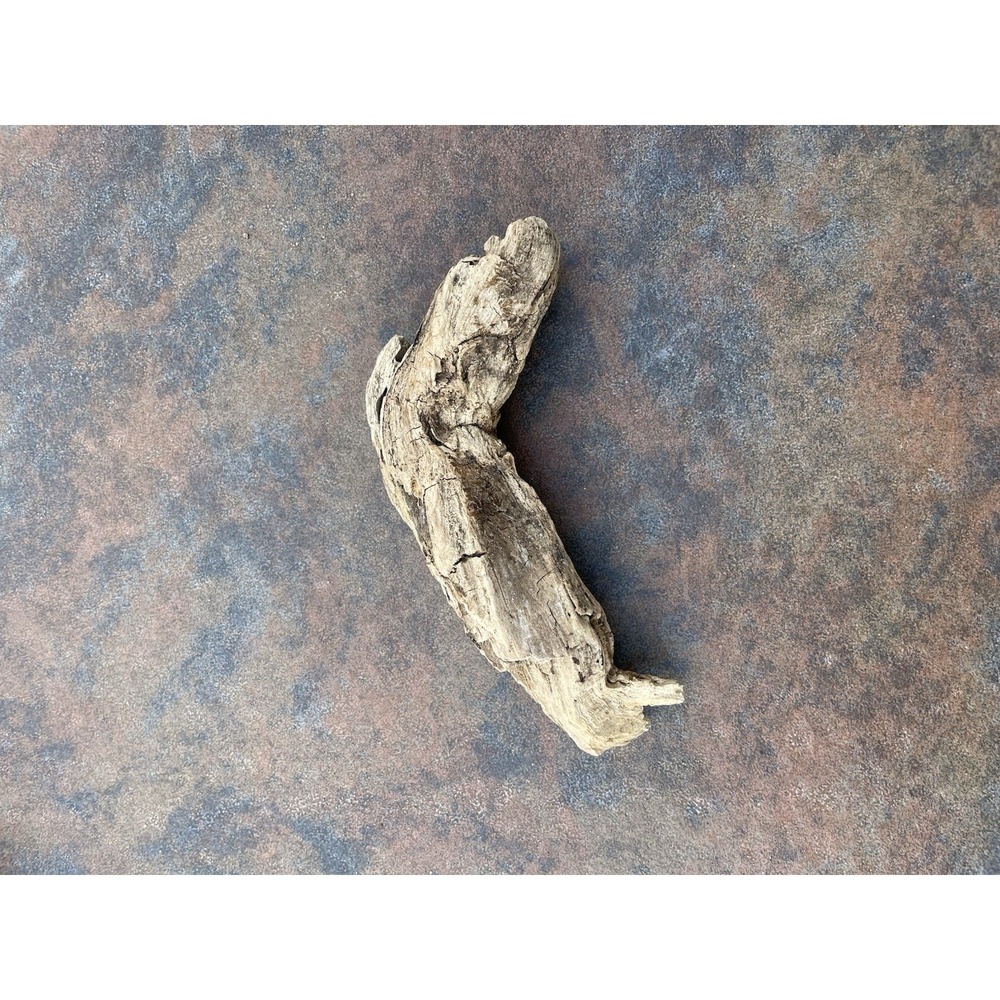Natural Driftwood for Plants Terrarium Taxidermy Art Projects